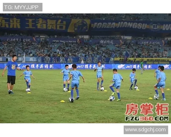 足球明星球衣售价一览表揭示市场趋势与球迷热情的完美结合